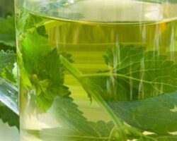 Limon Melisa Çayı: Uyku Kalitesini Artırma ve Stres Azaltma