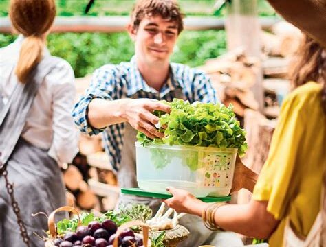 Organik Pazarlarda Gezinti: Sağlıklı Alışveriş İçin İpuçları