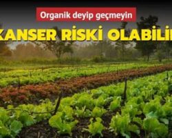 Organik Ürünlerde Gizli Tehlike: Pazarlama Taktiklerini Çözün
