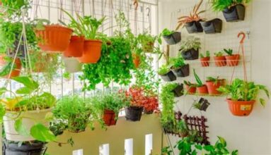 Balkon Bahçıvanları İçin İpuçları: Şehirde Çiçek Bakımının Püf Noktaları