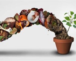 Organik Ürünlerde Etik Alışveriş: Sürdürülebilir Tarımın Önemi
