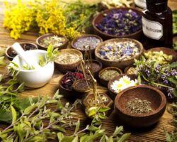 Şifalı Bitkilerin Masalsı Dünyası: Cilt ve Sağlık Bakımında Doğal İyilikler