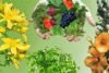 Şifalı Bitkilerin Doğal Antibiyotik Özellikleri