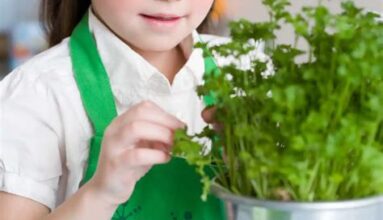 Şifalı Bitkilerin Çocuk Sağlığı Üzerindeki Etkileri