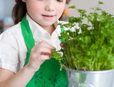 Şifalı Bitkilerin Çocuk Sağlığı Üzerindeki Etkileri