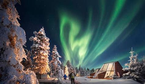 Sibirya İrisi ile Soğuk Güzellik: Salonunuzda Kuzey Işıkları